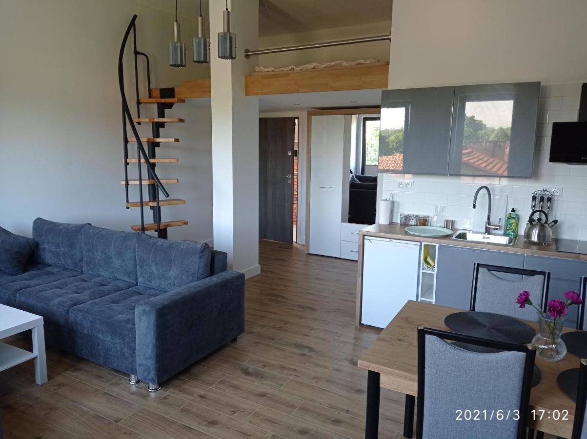 Apartamenty Kasztanowa 扎托尔 外观 照片