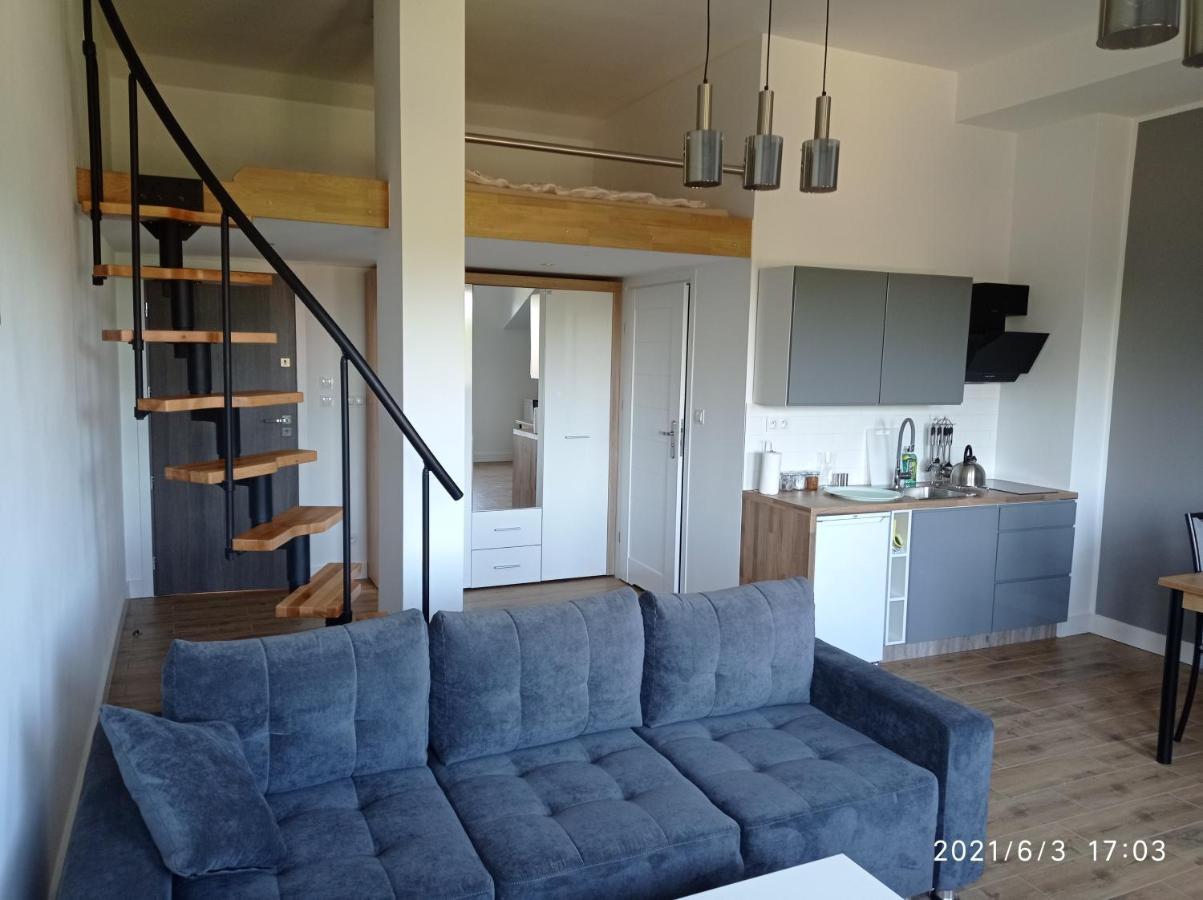 Apartamenty Kasztanowa 扎托尔 外观 照片