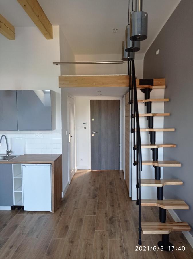 Apartamenty Kasztanowa 扎托尔 外观 照片