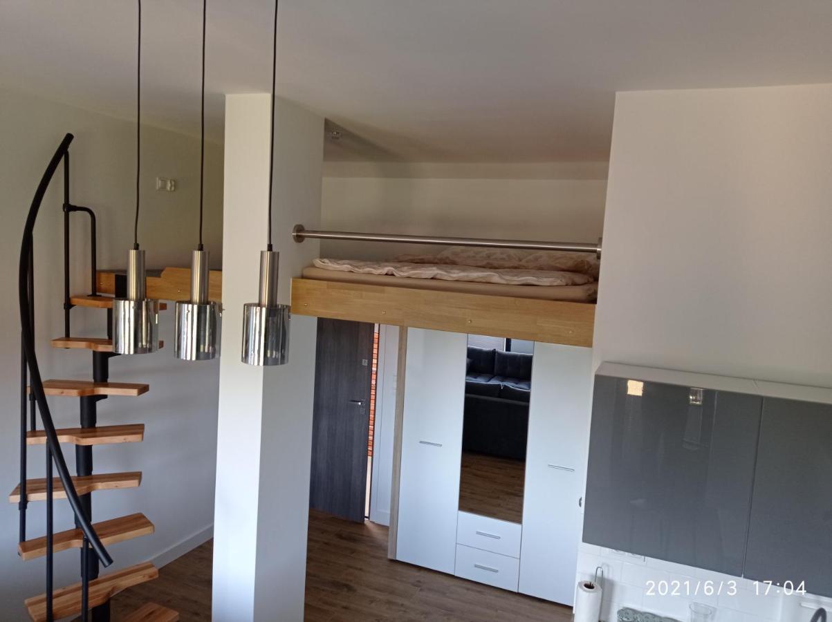 Apartamenty Kasztanowa 扎托尔 外观 照片