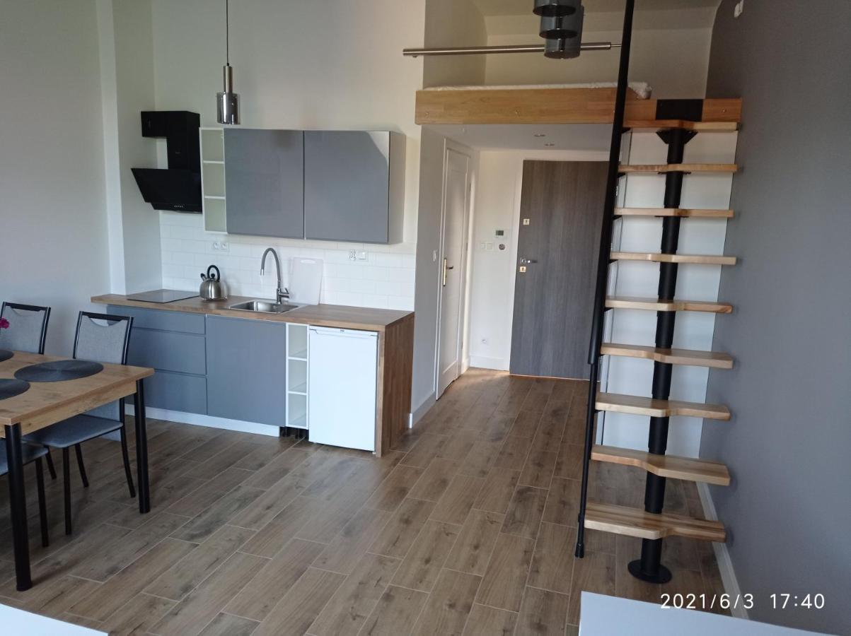 Apartamenty Kasztanowa 扎托尔 外观 照片