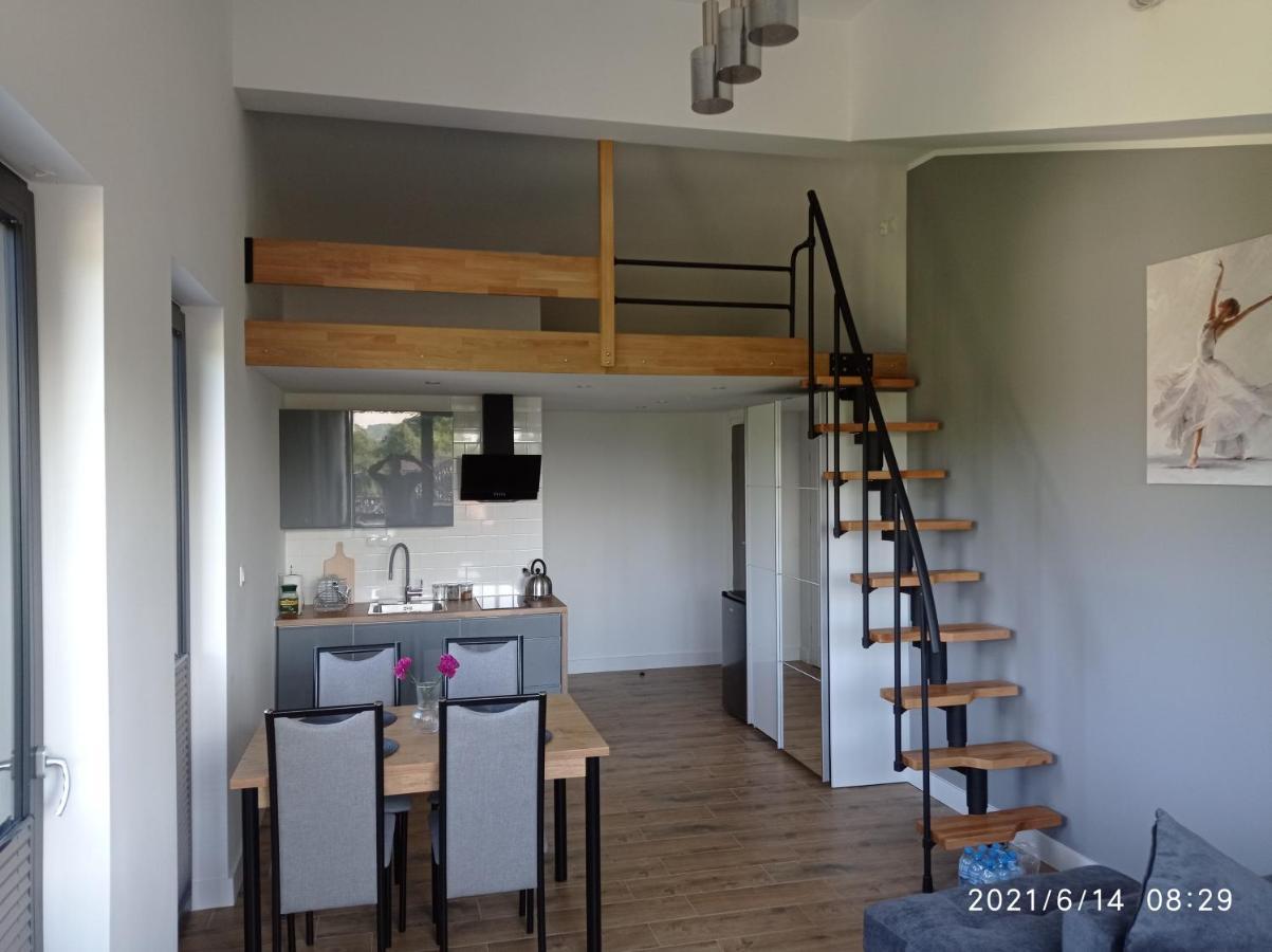 Apartamenty Kasztanowa 扎托尔 外观 照片