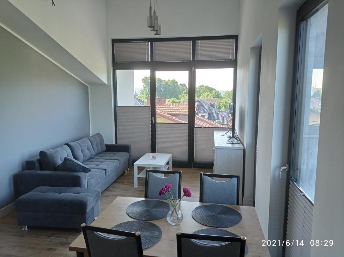 Apartamenty Kasztanowa 扎托尔 外观 照片