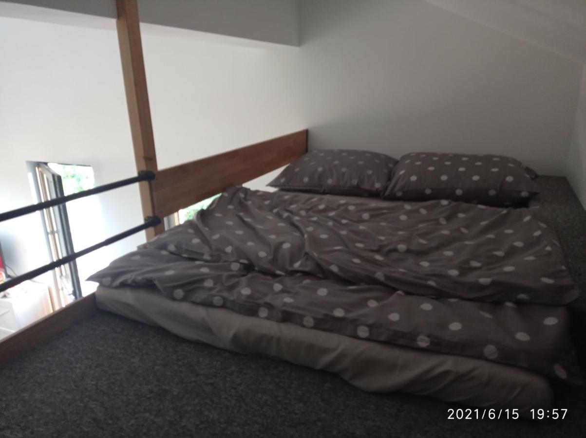 Apartamenty Kasztanowa 扎托尔 外观 照片