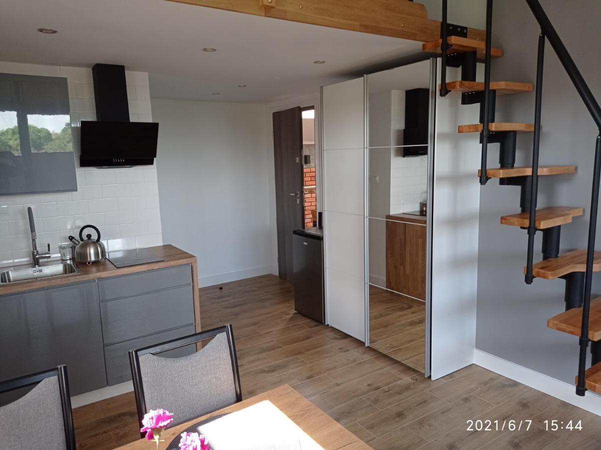 Apartamenty Kasztanowa 扎托尔 外观 照片