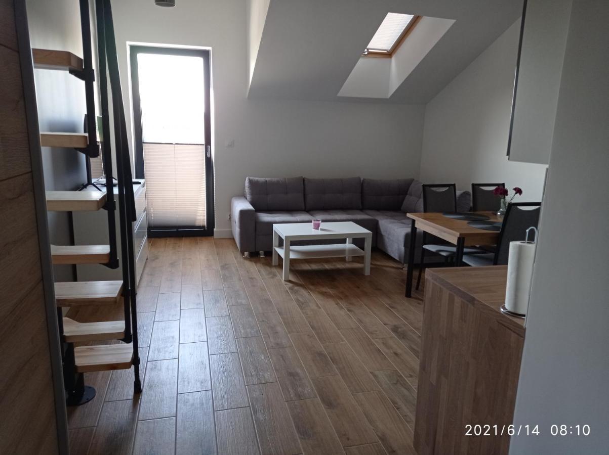 Apartamenty Kasztanowa 扎托尔 外观 照片